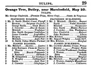 Tulip exhibitors, 1831