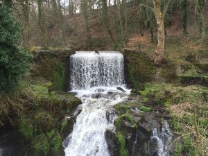Ingersley pool waterfall