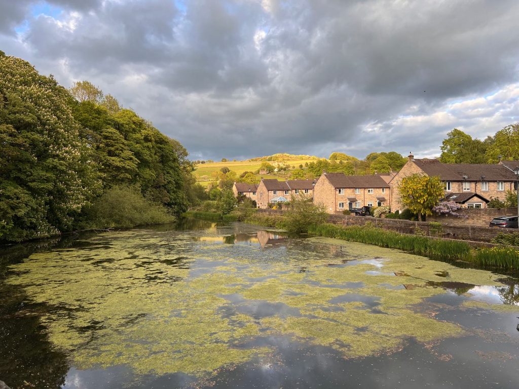 Oak Bank mill pond